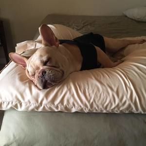 Meet your Posher, Leighann